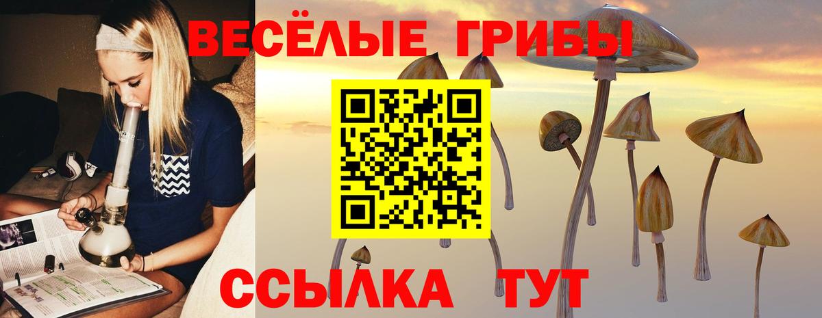 наркотики  Вход с VPN  Асино  Псилоцибиновые грибы MAGIC MUSHROOMS 